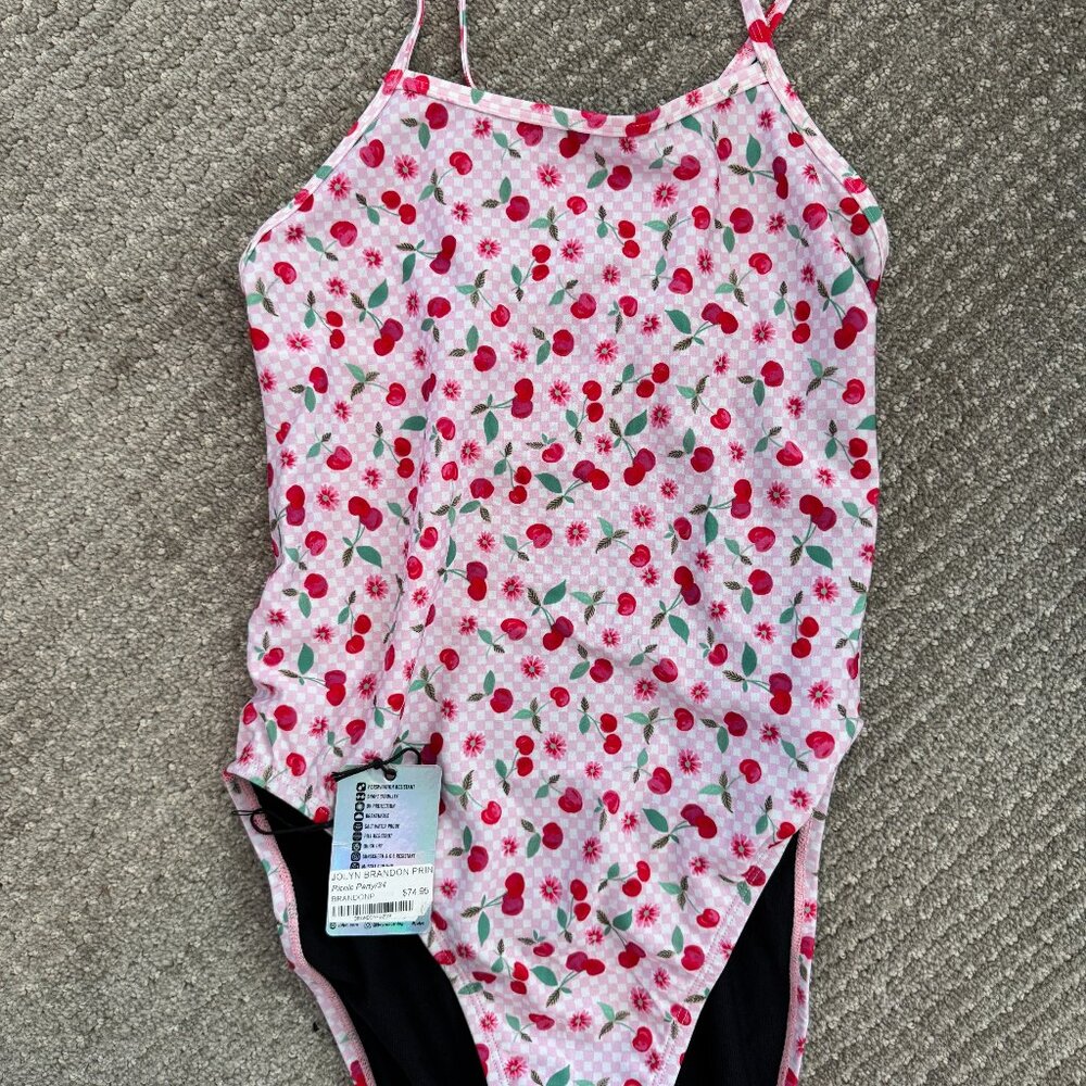 NWT Jolyn Brandon Swimsuit Size 34 Picnic Party Print